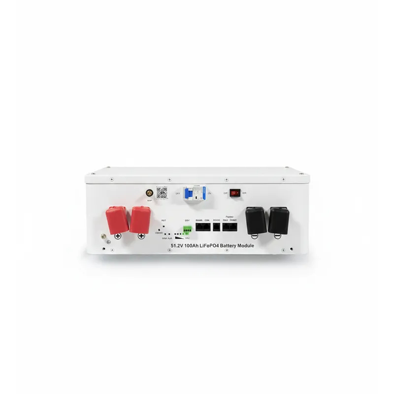 Hegel 5.12kWh 48V 100Ah LiFePO4 Akü - 5