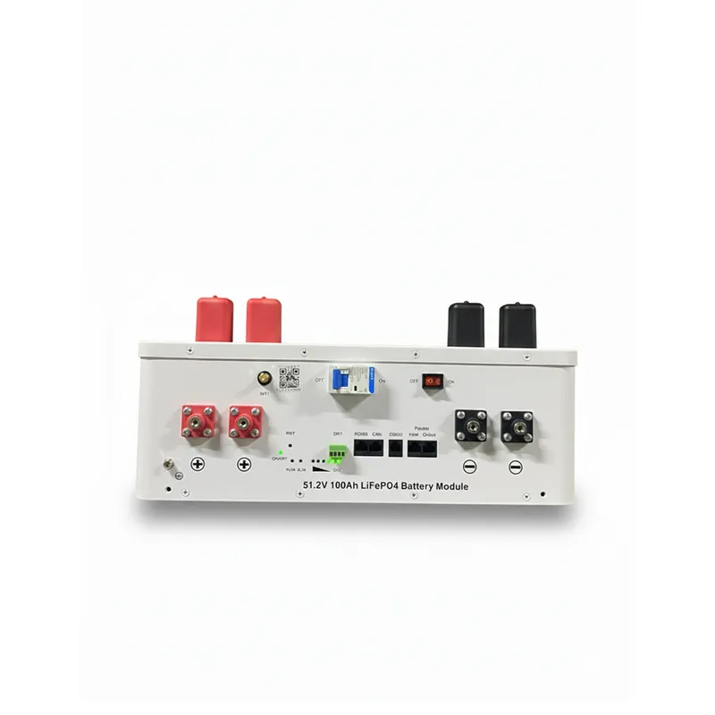 Hegel 5.12kWh 48V 100Ah LiFePO4 Akü - 6